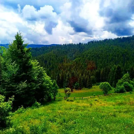 у пані марії Couette-café Vorokhta