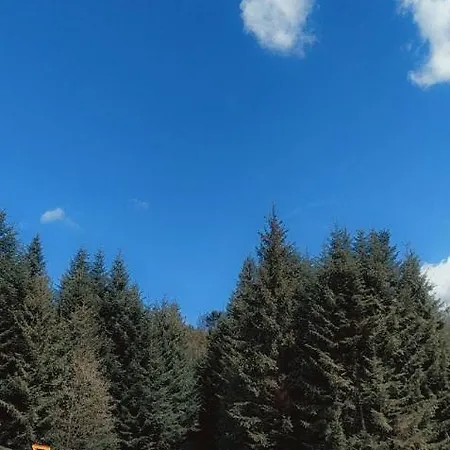 у пані марії Отель типа 